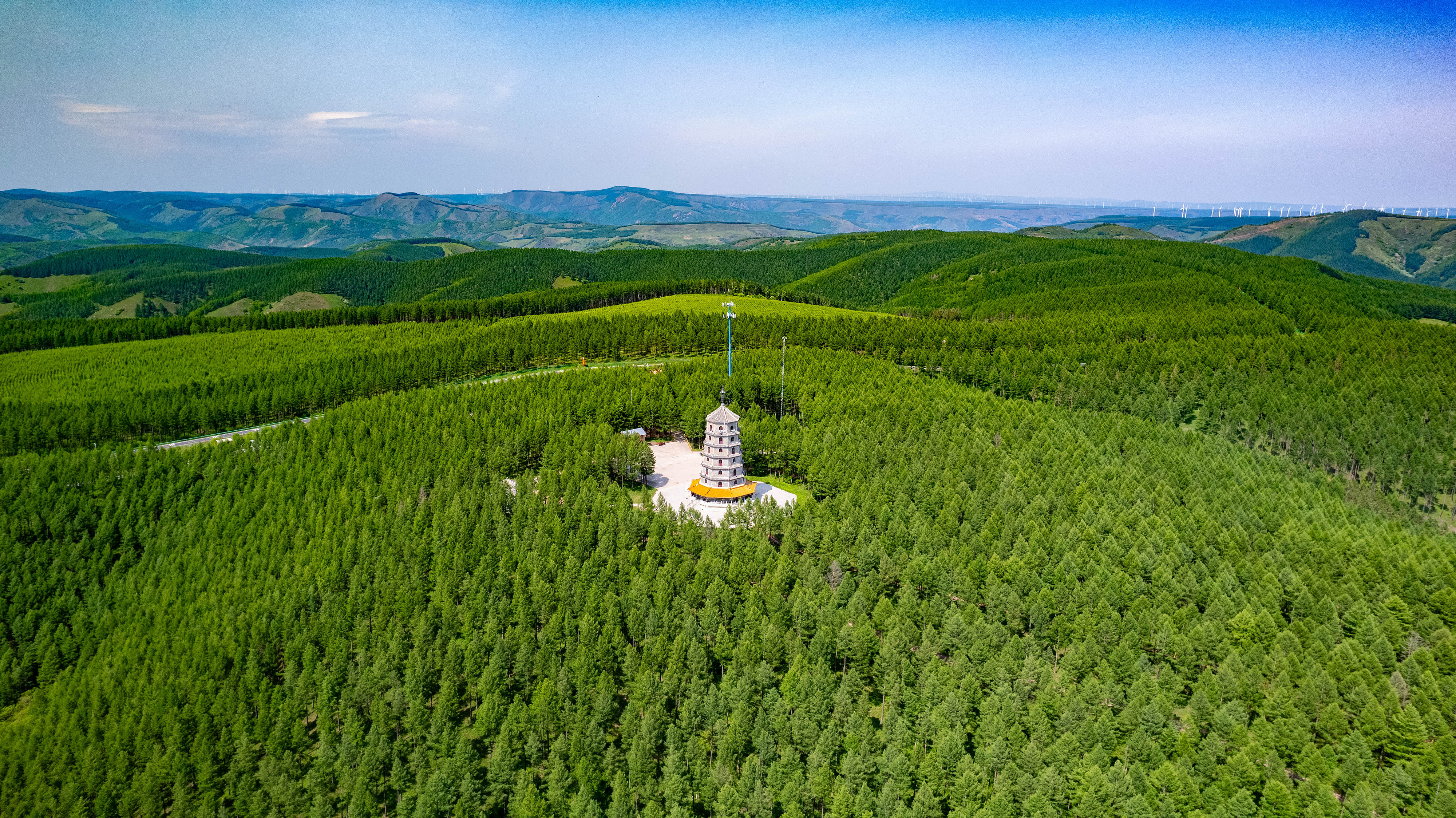 2025年6月11日，河北承德，塞罕壩林海浩渺。